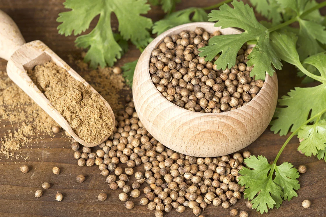 Coriander Seed