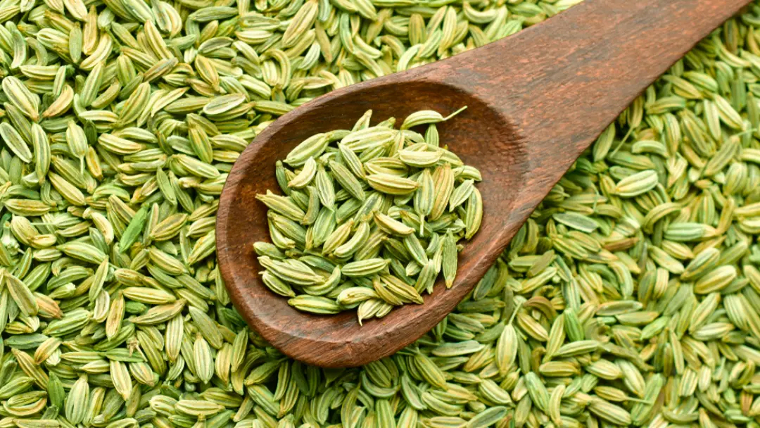 Fennel Seeds